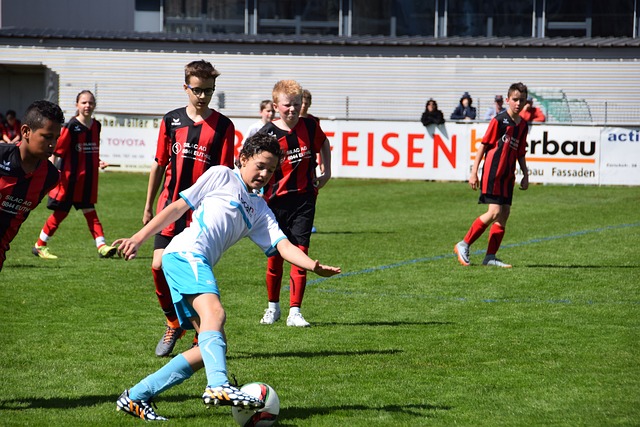 历史纪录的 历史纪录的