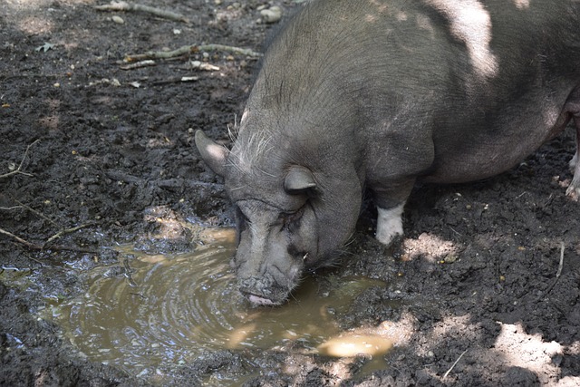 勇士力压快船稳第6，库里微笑背后，赛后七大好消息.