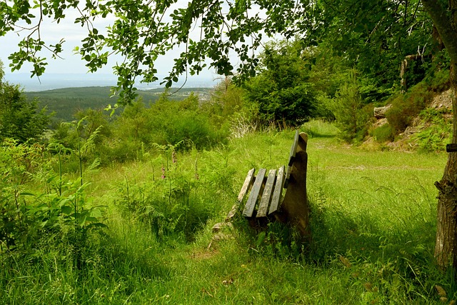 一定的士气 一定的士气