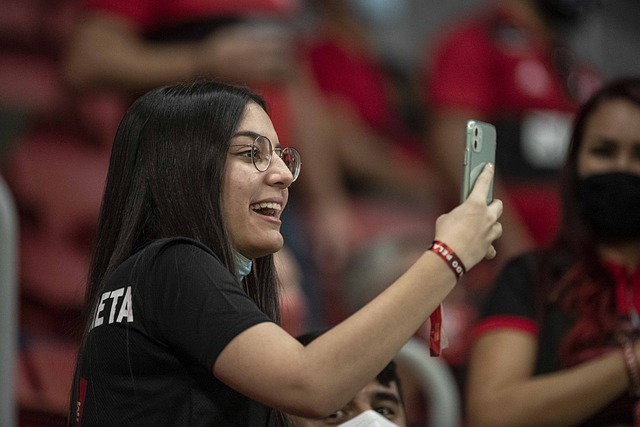 电网的选择 电网的选择