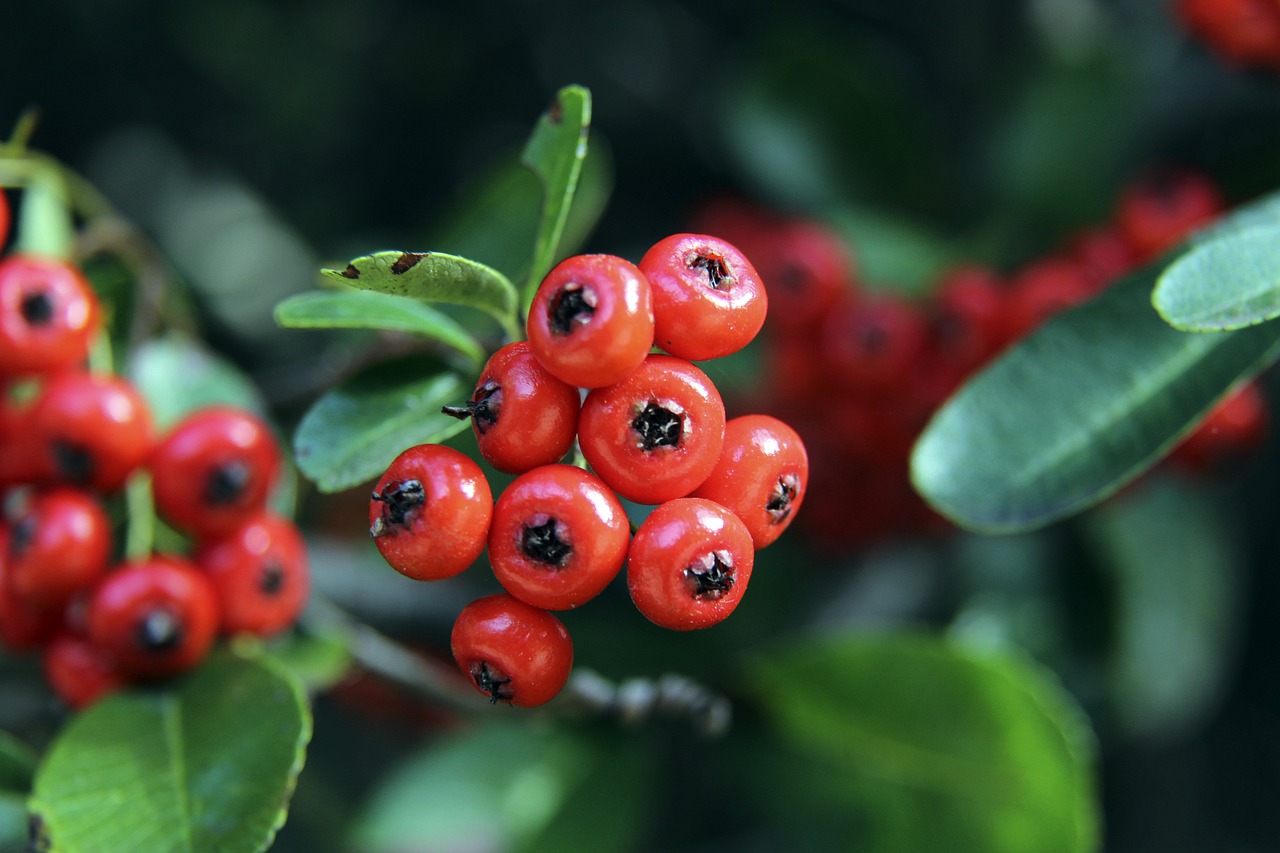 现快船侧翼 现快船侧翼