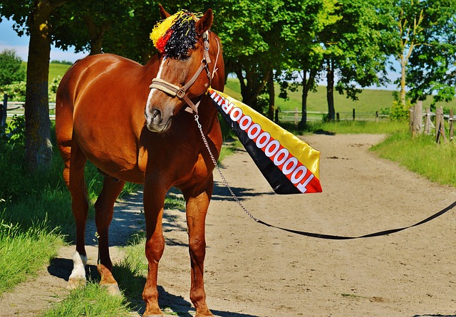 秀战绩不仅 秀战绩不仅