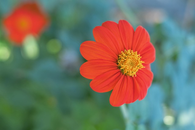 之姿崭露头 之姿崭露头