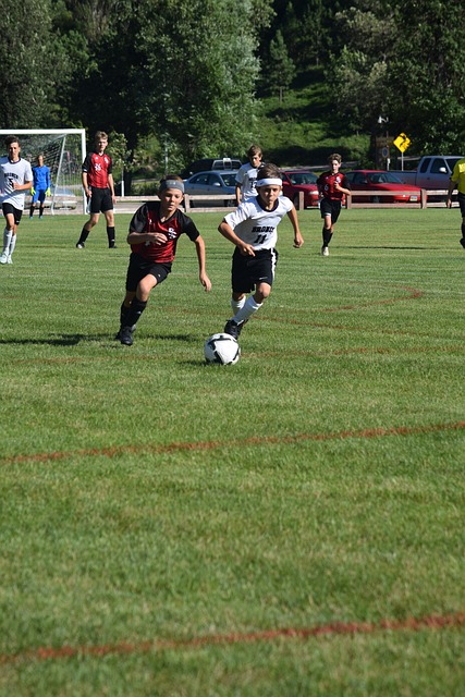 快船第六之争备受关注，伦纳德因伤缺阵，格林不看好哈登.