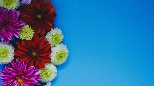 赛季的洛杉 赛季的洛杉