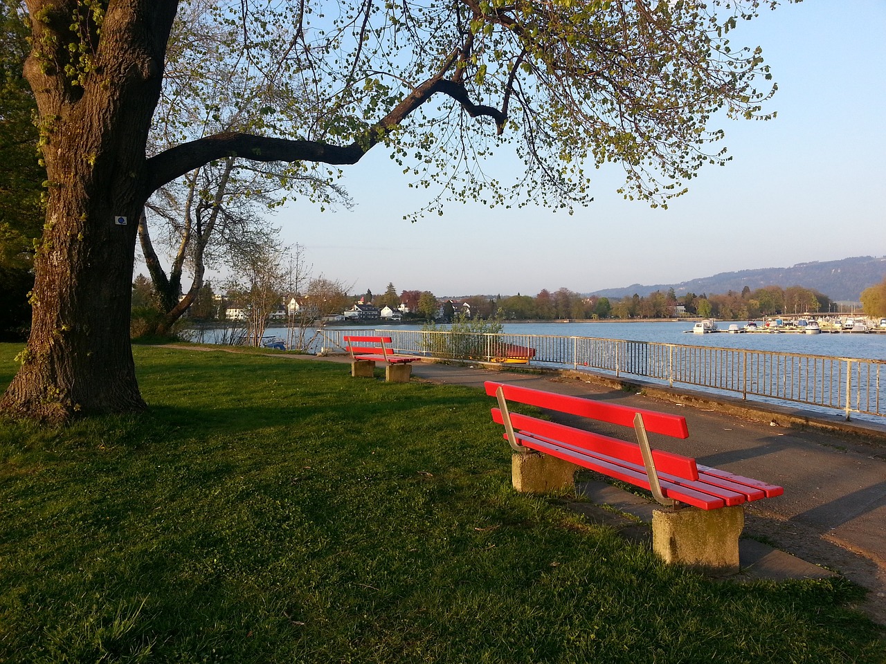 成為世界頂 成為世界頂